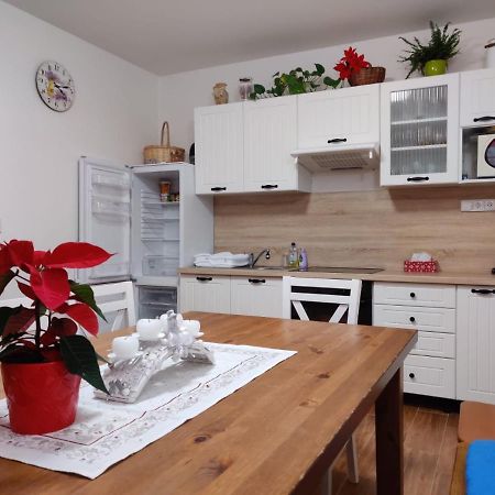 Apartman Pod Bozim Darem Яхимов Экстерьер фото
