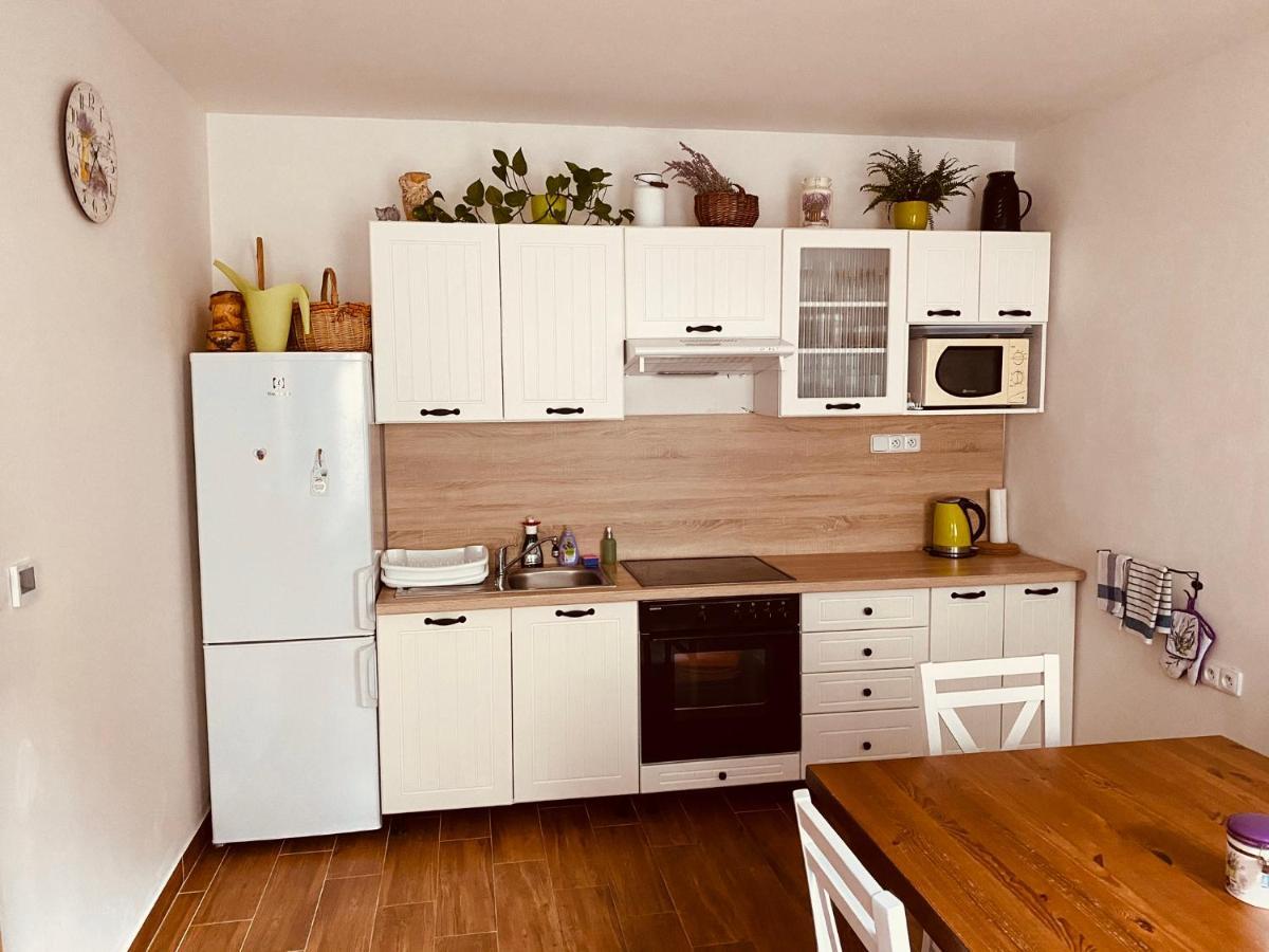 Apartman Pod Bozim Darem Яхимов Экстерьер фото